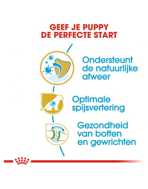 Royal Canin German Shepherd - Puppy-Hondenvoer
