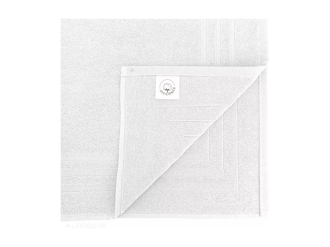 Tapis de bain 50x70 cm EFFICIENCE PURE blanc White