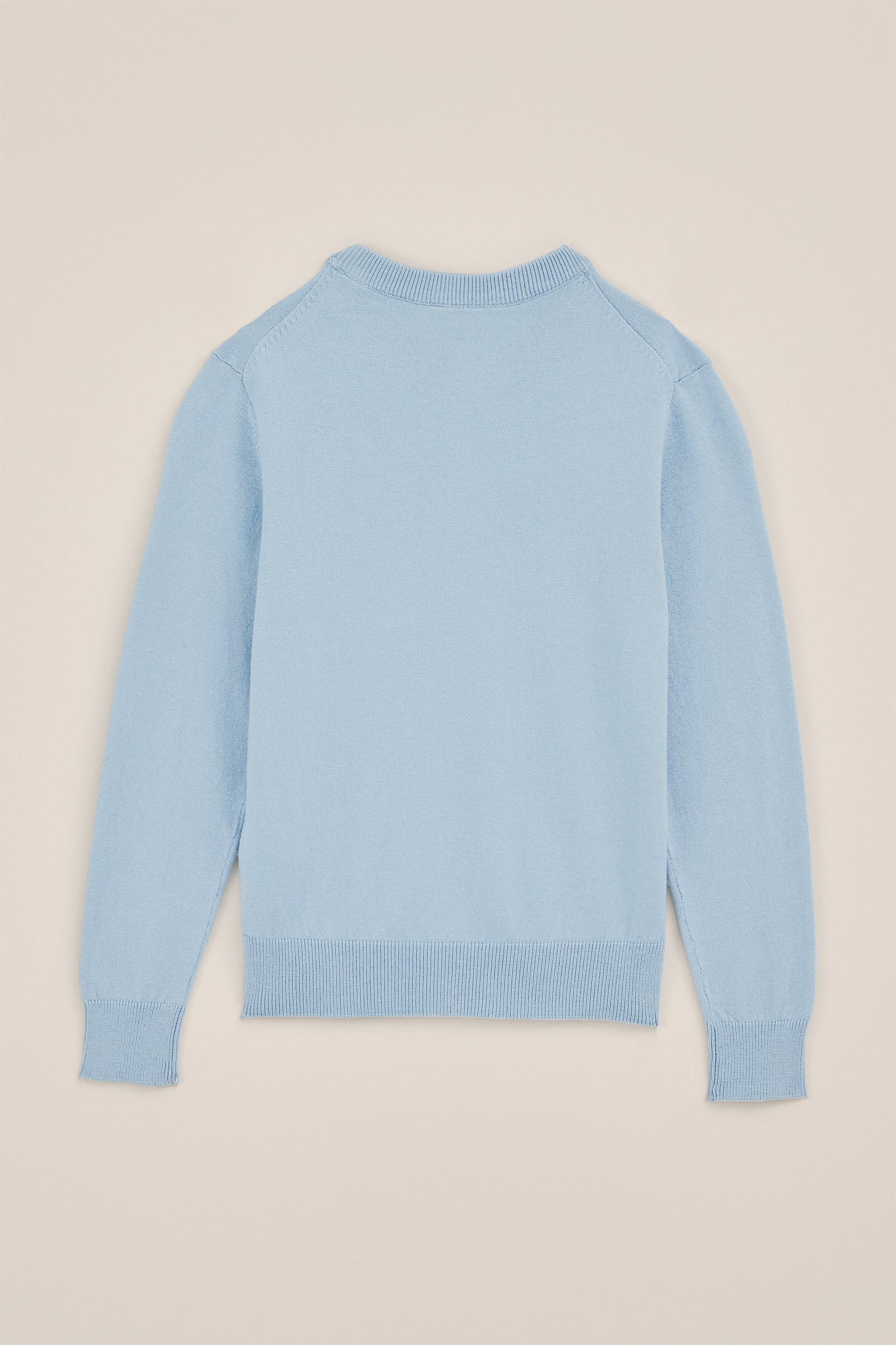 Jongens fijngebreide trui WE Fashion IJsblauw