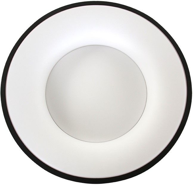 Plafondlamp 2562ZW Ringlede ⌀38  x H9 cm