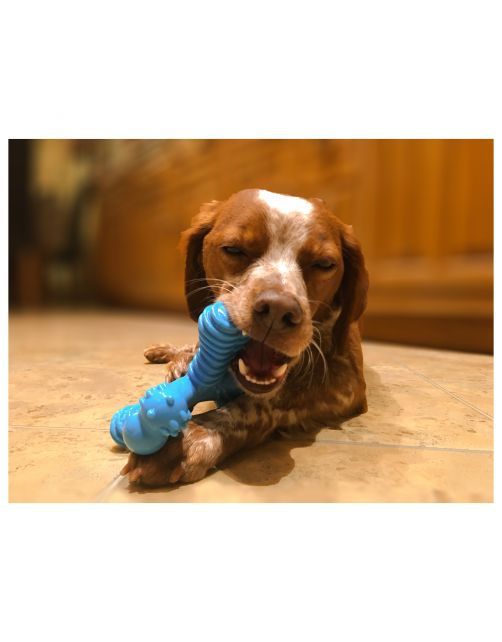 Nylabone Extreme Chew X Bone Rund - Hondenspeelgoed