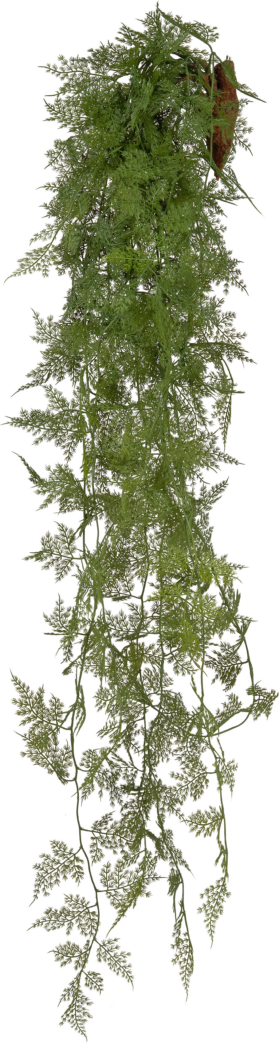 Intratuin kunsthangplant Sierasperge 132 cm