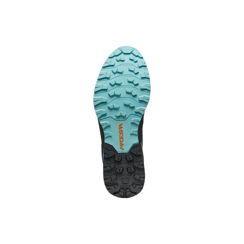 Ribelle Run GTX Wmn - Chaussures trail femme