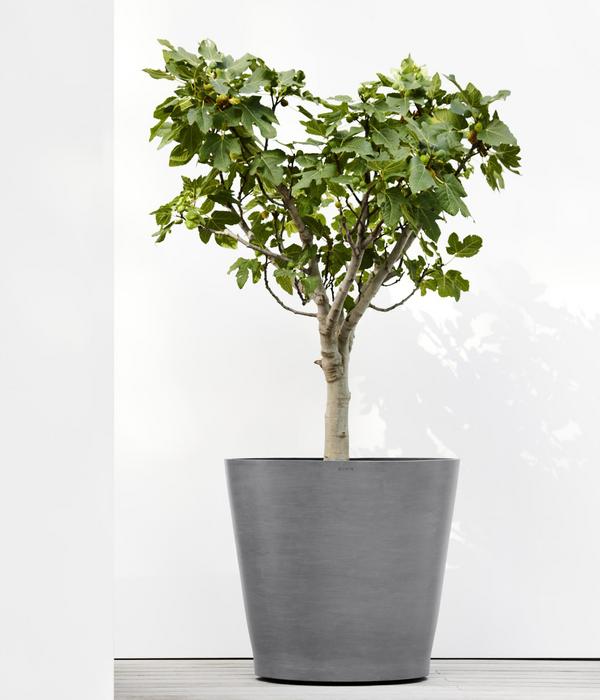 Ecopots Kunststoff-Topf Amsterdam mit Rollen,