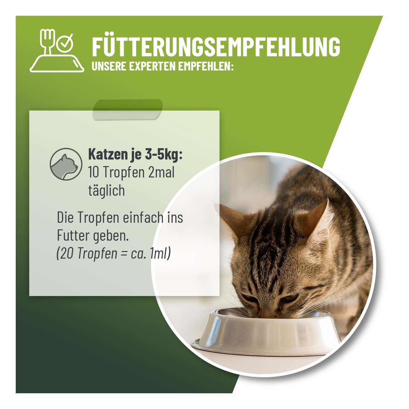 REAVET Hustensaft Tropfen Katzen 50ml