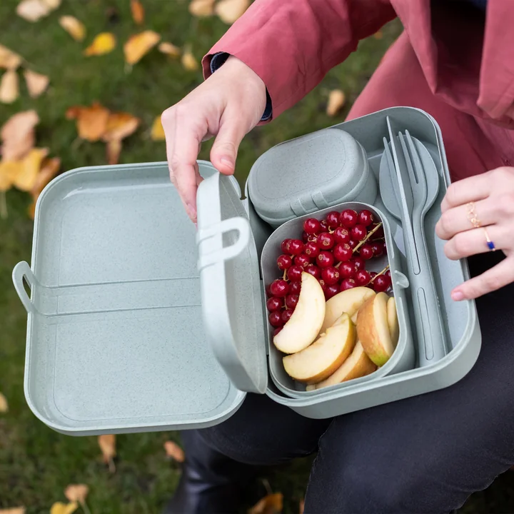 Koziol - Pascal Ready Lunchbox-Set mit Klikk Besteck, nature leaf green