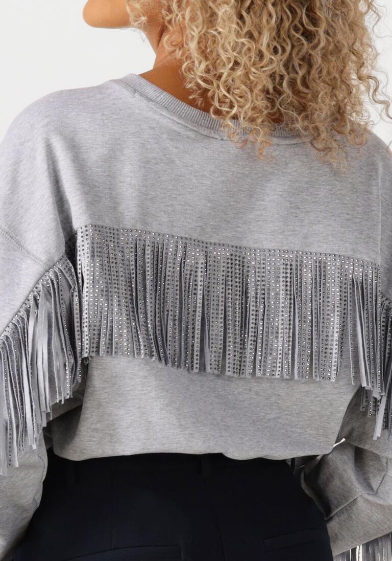 lichtgrijze co'couture trui studcc fringe sweat