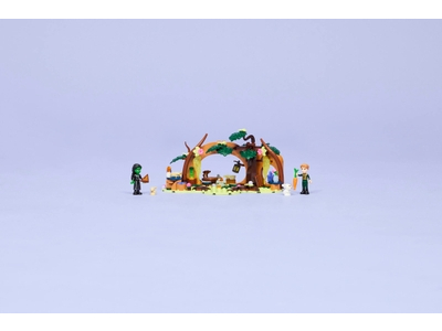 LEGO Elphaba's schuilhut (75687)