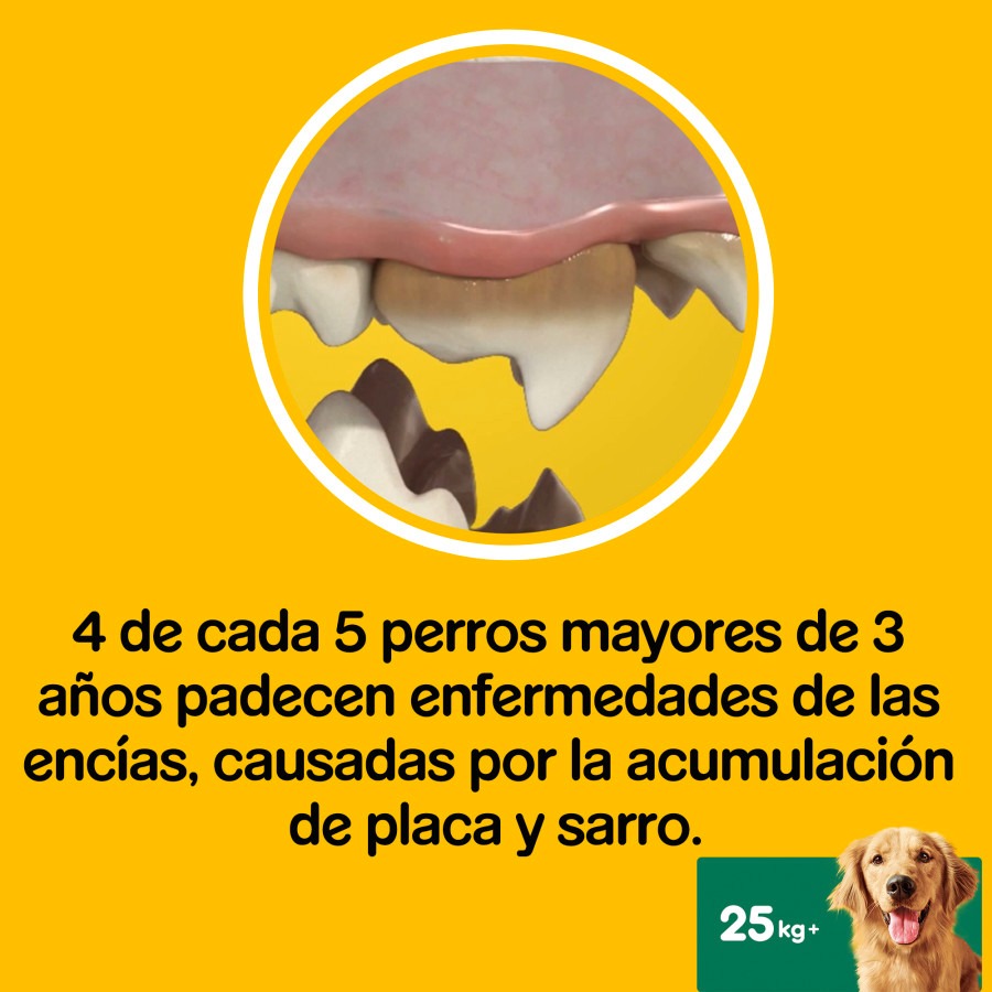 Pedigree Dentastix Petiscos Dentais Frescos para Cães de Grande Porte