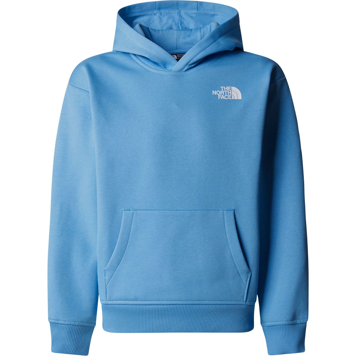The North Face Vertical Graphic Oversized Hættetrøje Børn