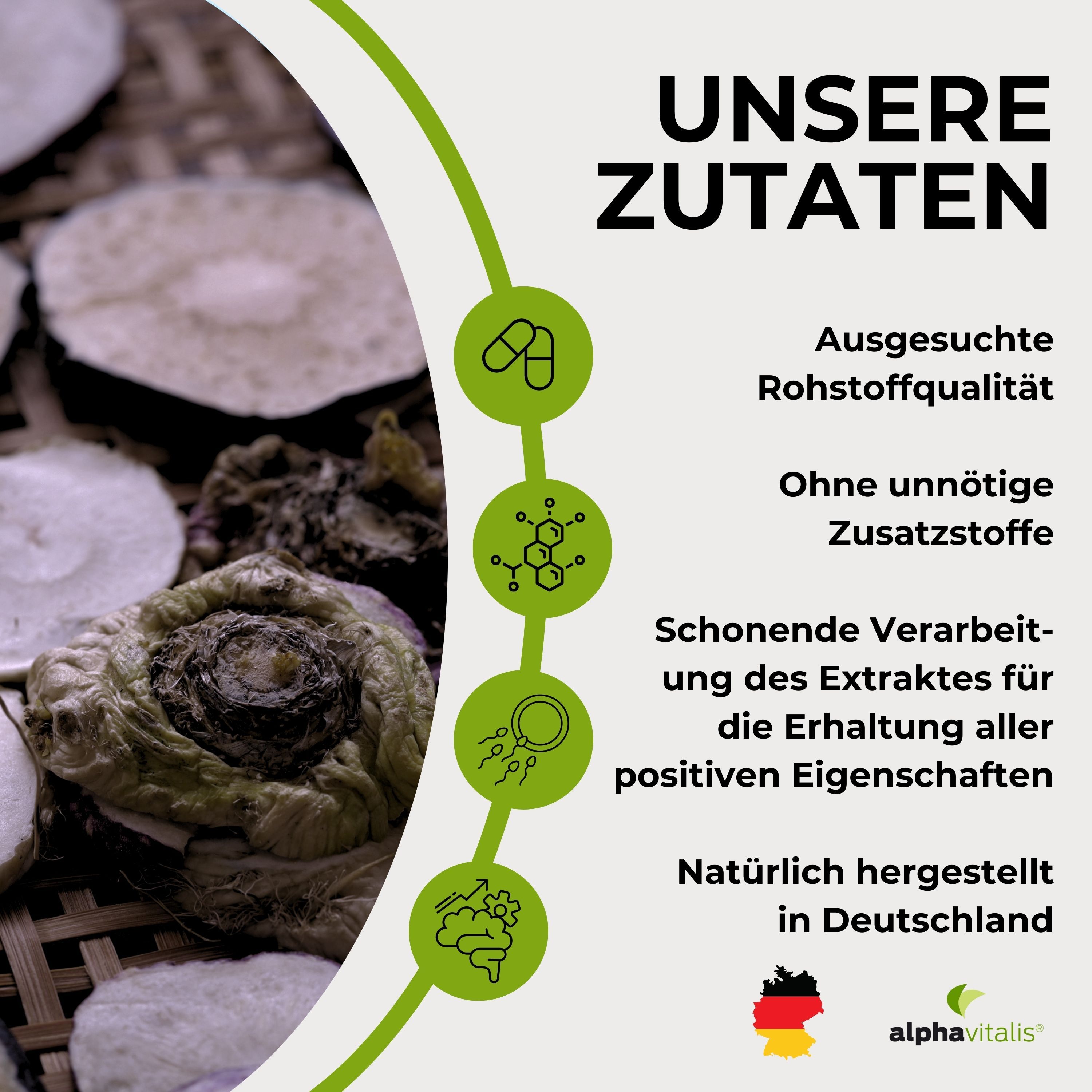 Alphavitalis® Maca Kapseln aus schwarzem Maca