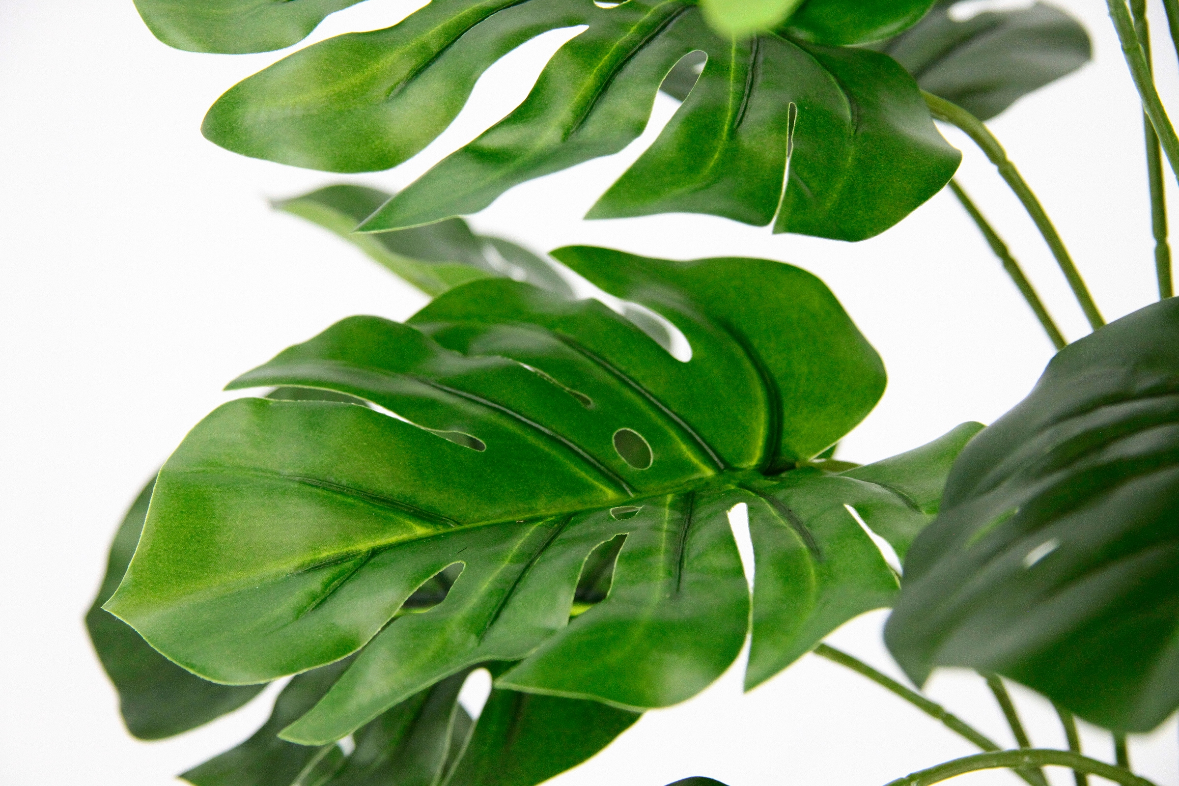 I.GE.A. Kunstpflanze »Monstera« Mit Übertopf künstlicheSplitphilo-Pflanze