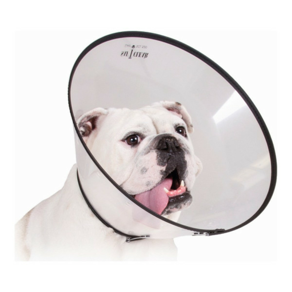 Collier de protection isabelino pour chiens saf-t-clear transparent (17-20 cm)