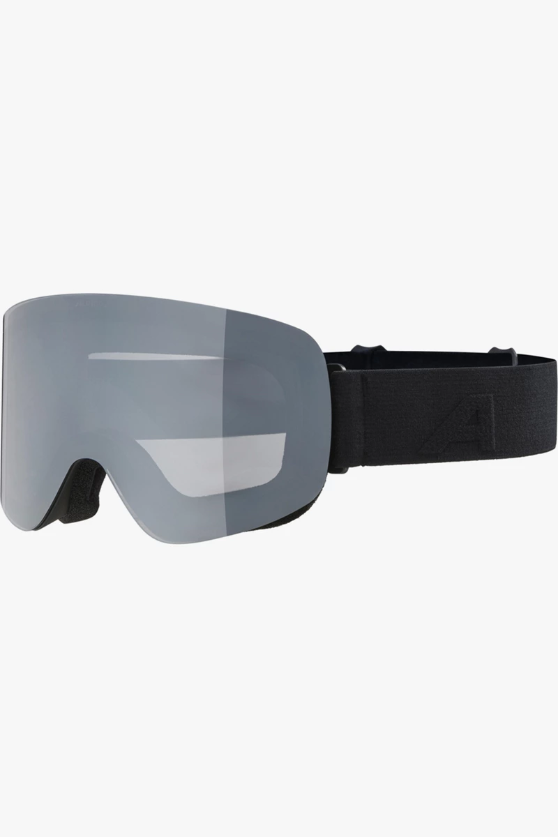ALPINA Penken Skibrille
