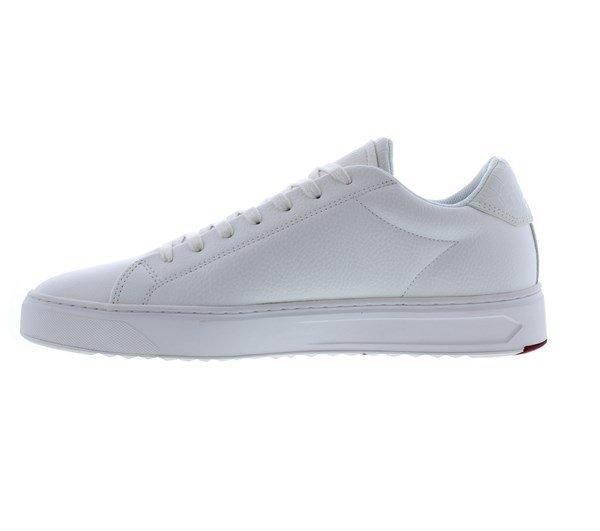 Loyalti Loyalti Patriot Reptile Trainers