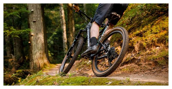 Pneu VTT Teravail Ehline 29'' Tubeless Ready Souple Light & Supple Flancs Beiges Tan