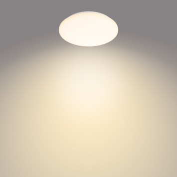 Philips LED plafondlamp Moire 10W 2700K