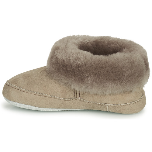 Shepherd - PITEA - Gris