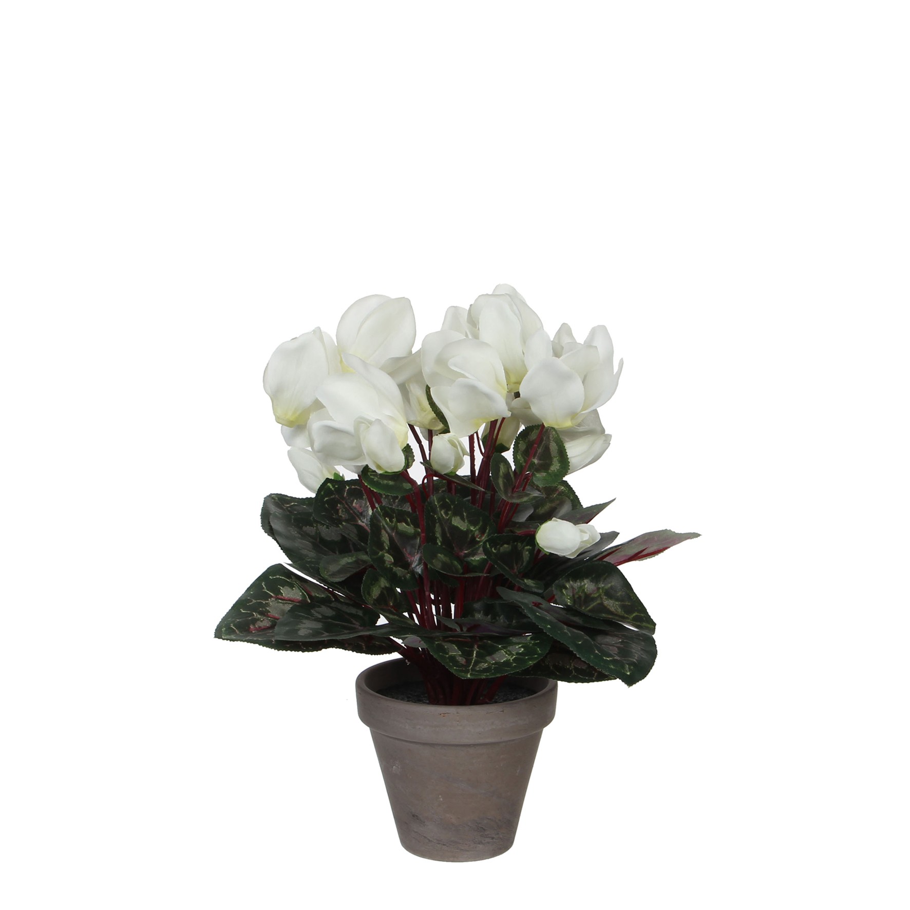 Mica decorations - cyclamen artificielle blanc en pot h30