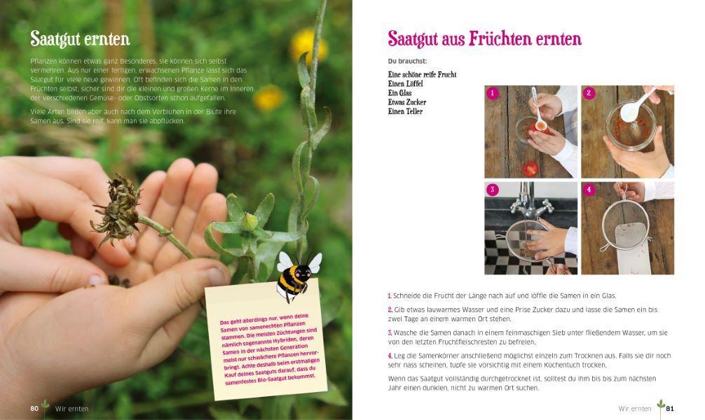 Abenteuer Gemüsegarten