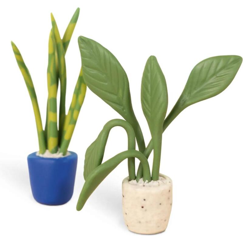 Kit starter, mini plantes