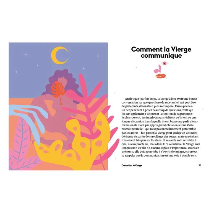 Stella Andromeda Vierge | Lilas