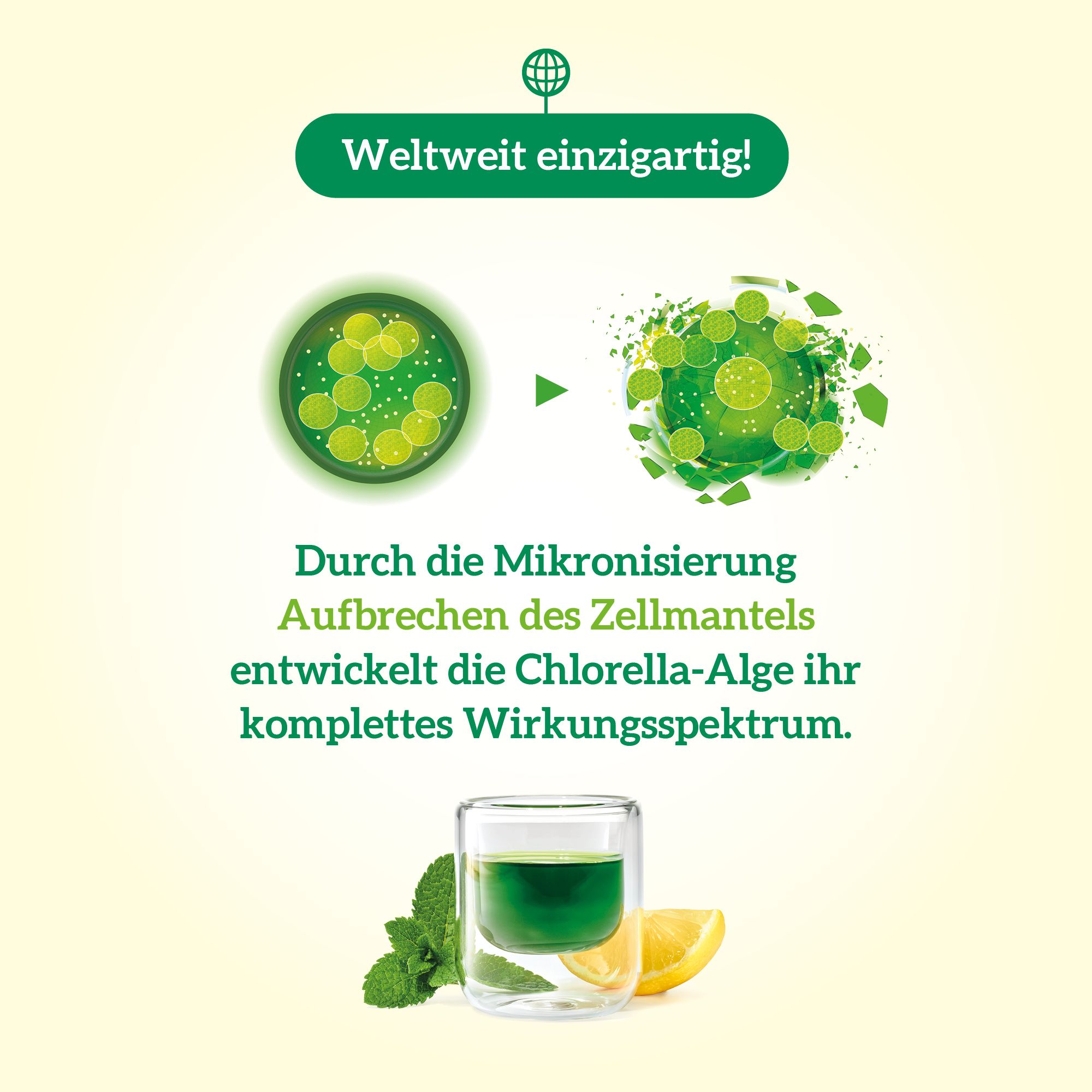 Algaevit Chlorella Algen-Tonikum