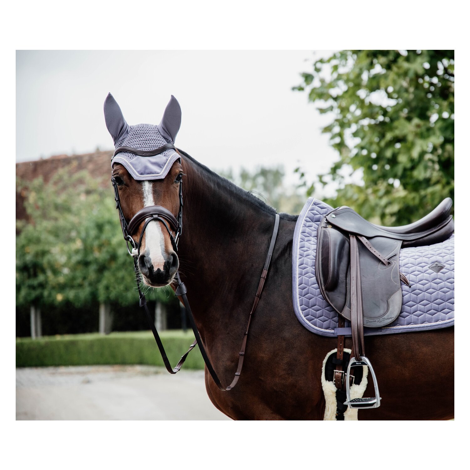 KENTUCKY Fliegenhaube Wellington Velvet  - purple - Warmblut