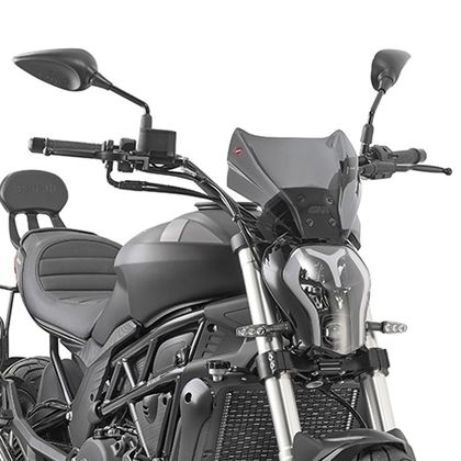 Saute vent Givi Fumée