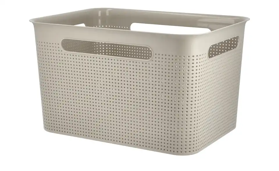 Rotho Aufbewahrungsbox 36 cm