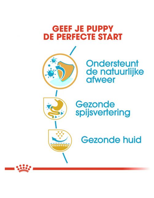 Royal Canin French Bulldog - Puppy-Hondenvoer