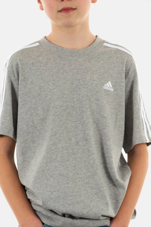 tee shirts manches courtes adidas originals u 3s brgrmo/blanc