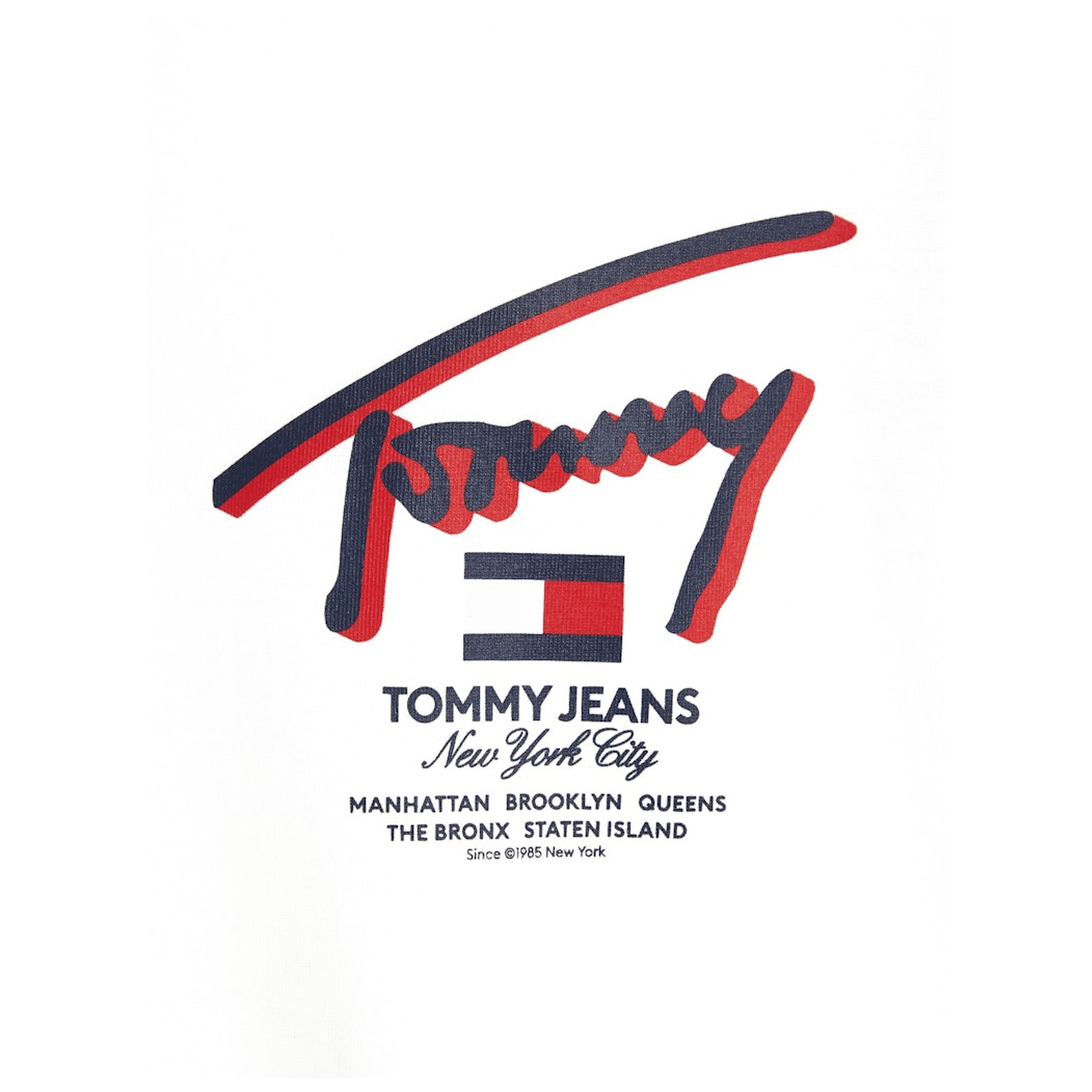 Tommy Jeans TJM REG 3D STREET SIGNTR TEE E