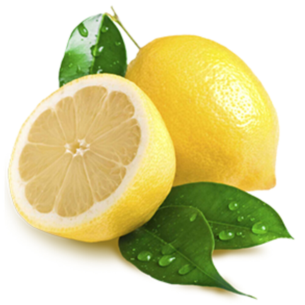 Frosch Badkamereiniger Lemon500 ml