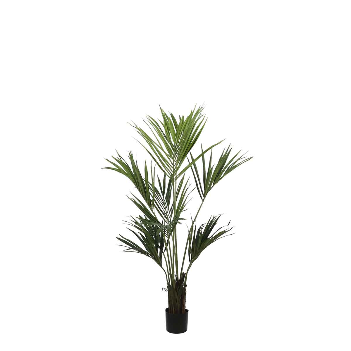 Mica decorations plante artificielle kentia - 90x90x150 cm - pe - vert