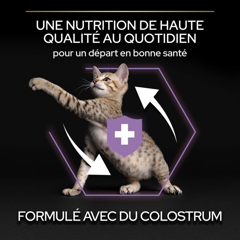 PURINA PRO PLAN Original Kitten riches en poulet pour chaton sur bitiba.fr