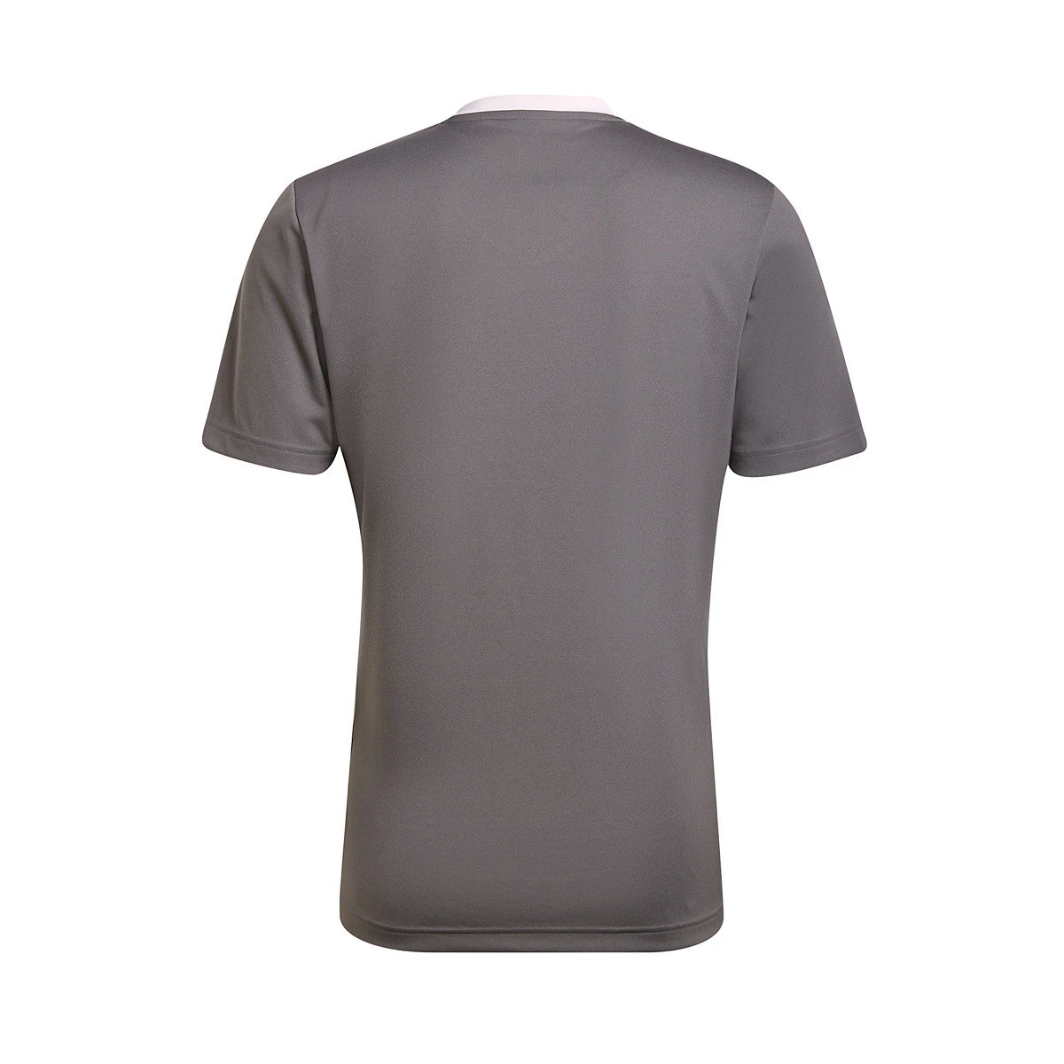 T-Shirt adidas Entrada 22 m/c Criança