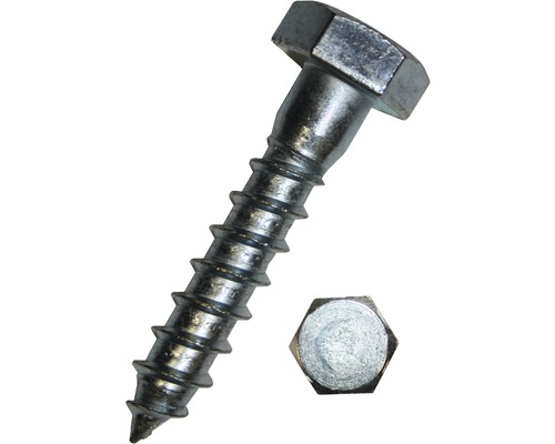 Houtschroef 6-kant DIN 571 6x30 mm RVS A2, 20 stuks