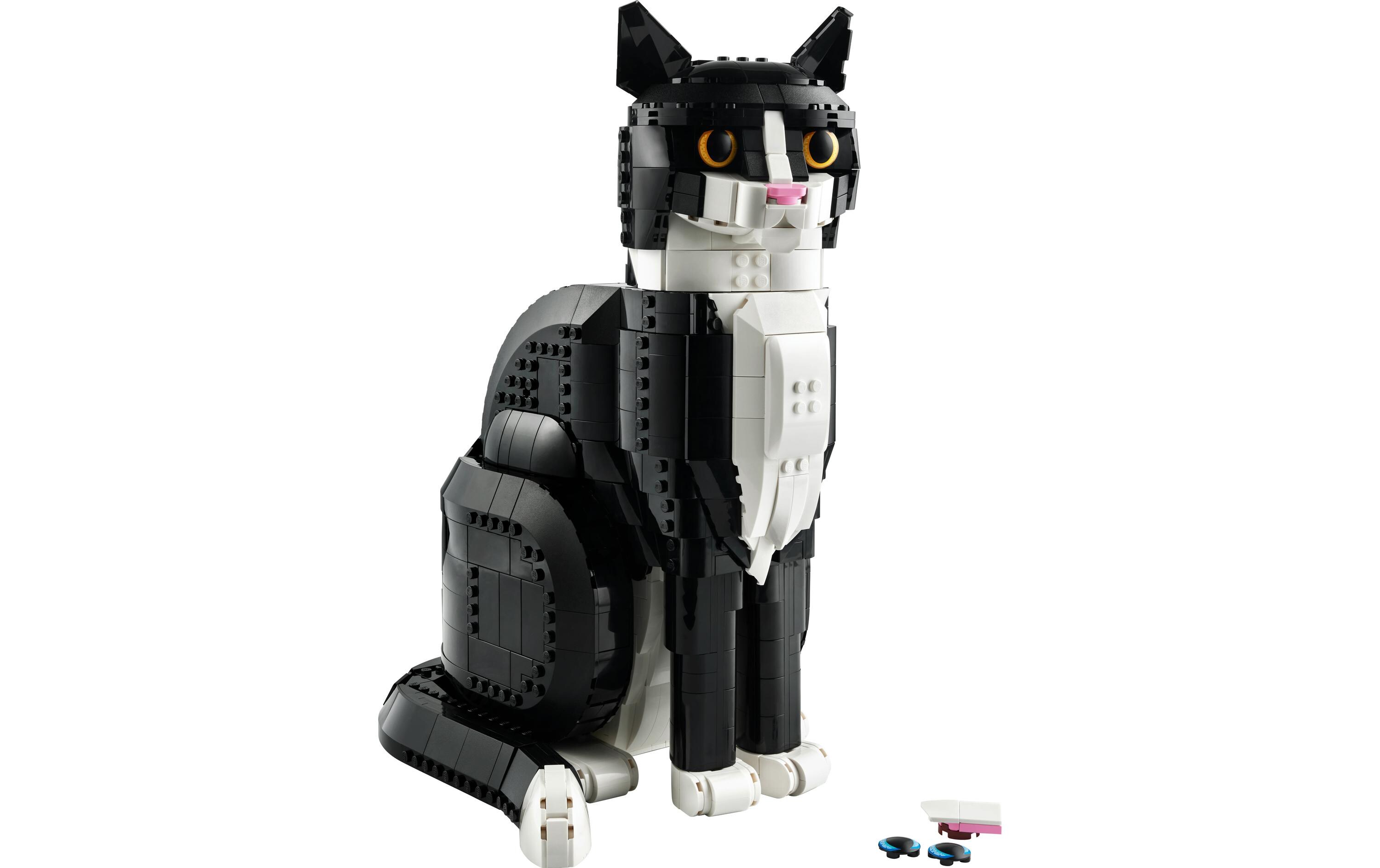 Ideas Schwarz-weisse Katze 21349<br>Ein charmanter Begleiter und stiller Freund