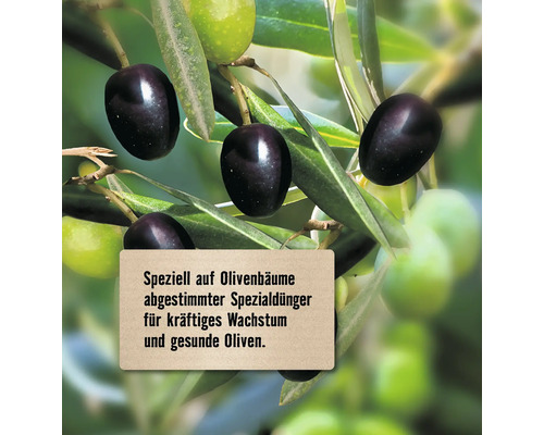 Olijfboommeststof FloraSelf Select 1 kg