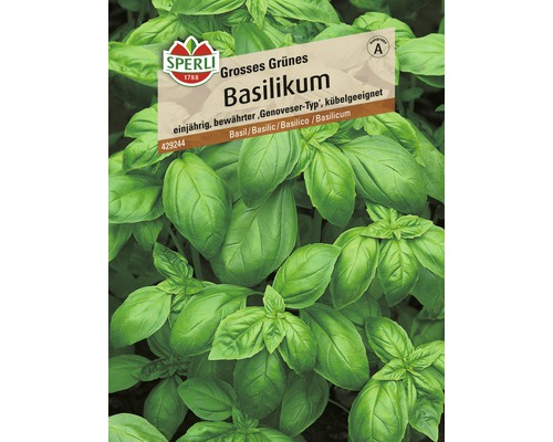 Basilicum 'Large Green' Sperli Kruidenzaden