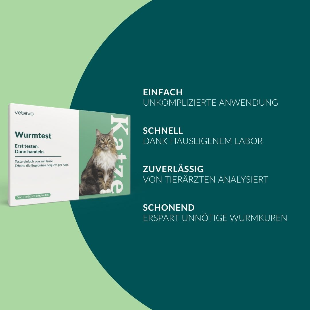 Wurmtest Pro Katze