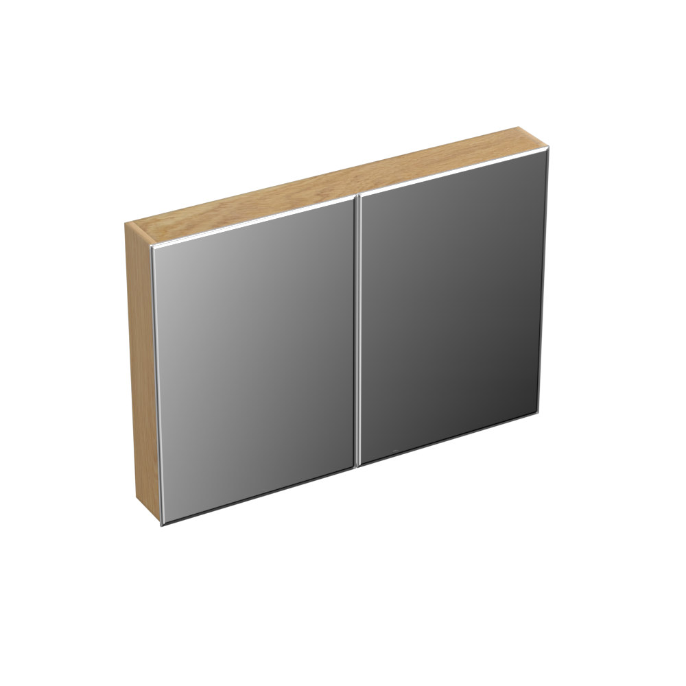 Forzalaqua Uni spiegelkast 100x70cm met 2 deuren smoke