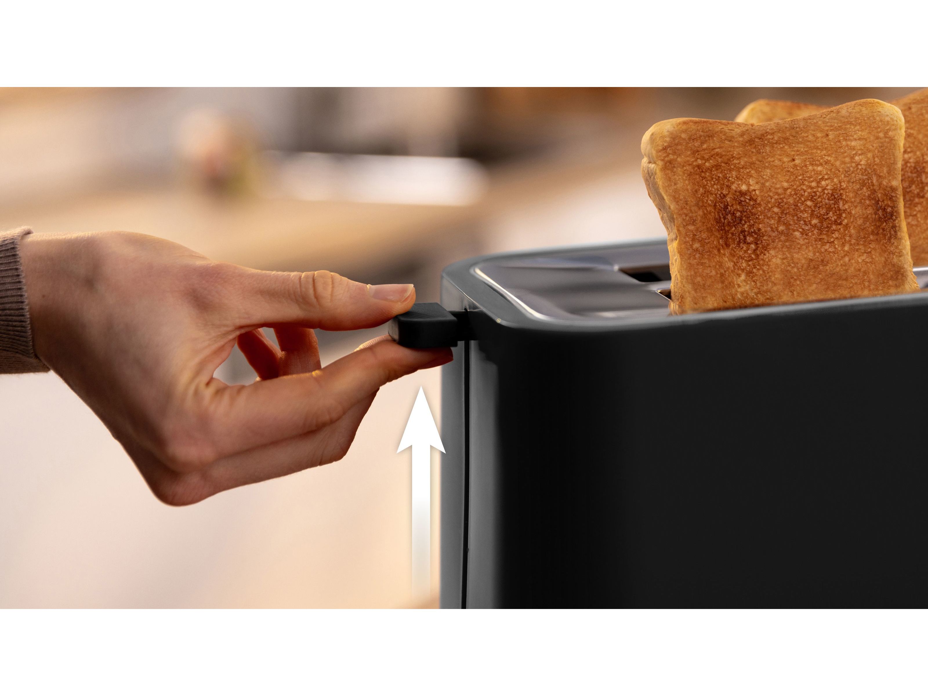 TORRADEIRA 2 FENDAS BOSCH TAT4M223 MYMOMENT 950W