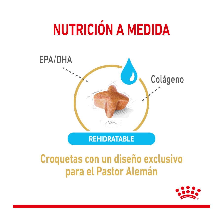 Ração Royal Canin Adult 5+ para Pastor Alemão