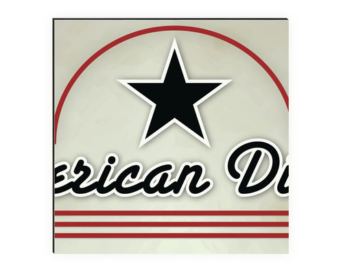 Keukenachterwand mySpotti Profix American Diners belettering 100 x 60 cm PX-10060-196-HB
