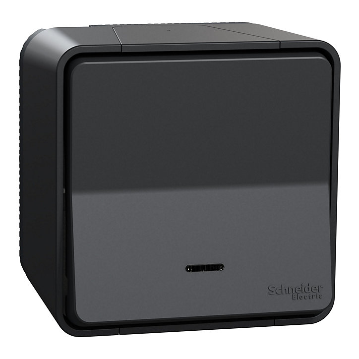 Interrupteur va-et-vient lumineux étanche complet saillie Schneider Electric Mureva Styl gris anthracite