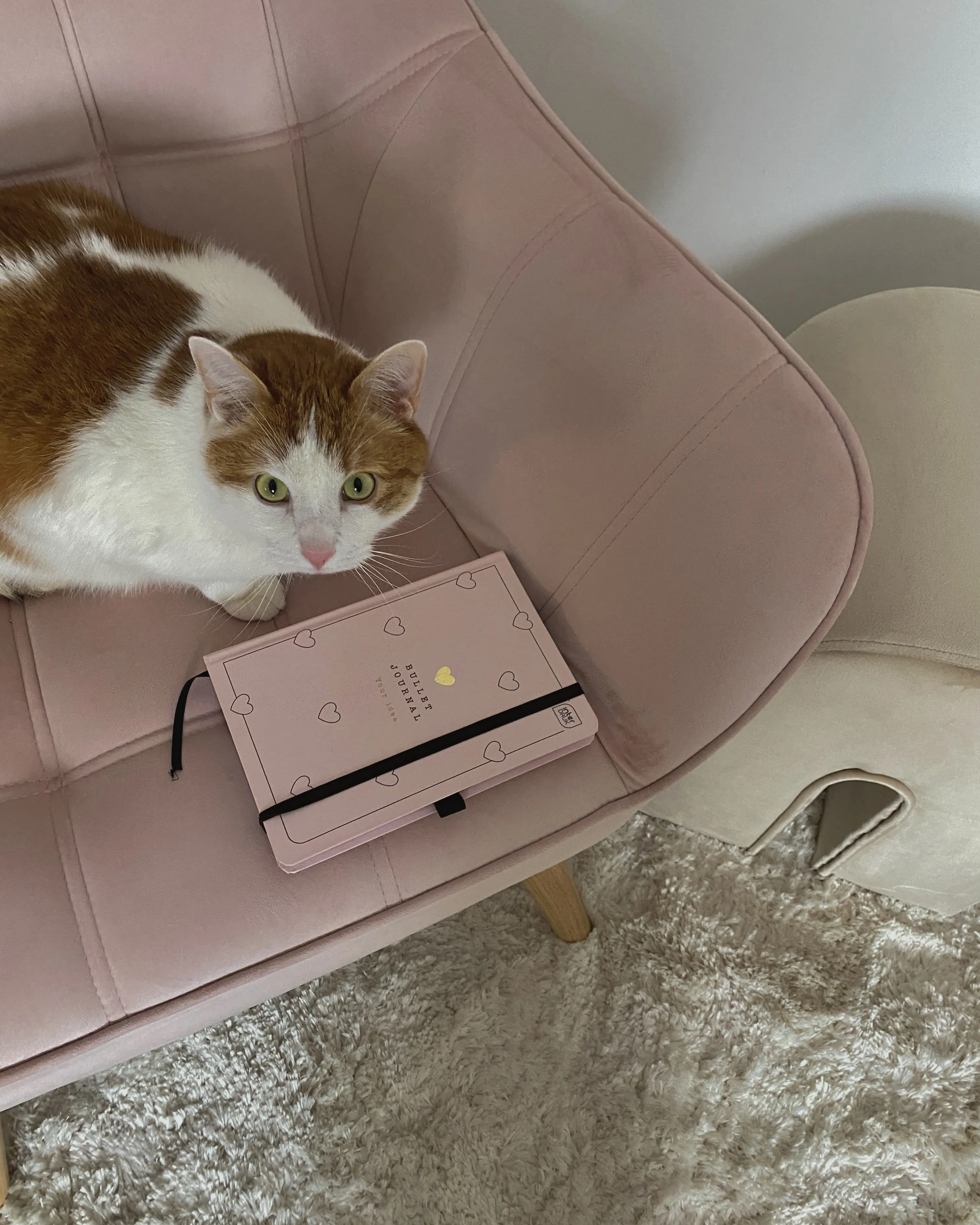Poef MODOC Fluweel Beige