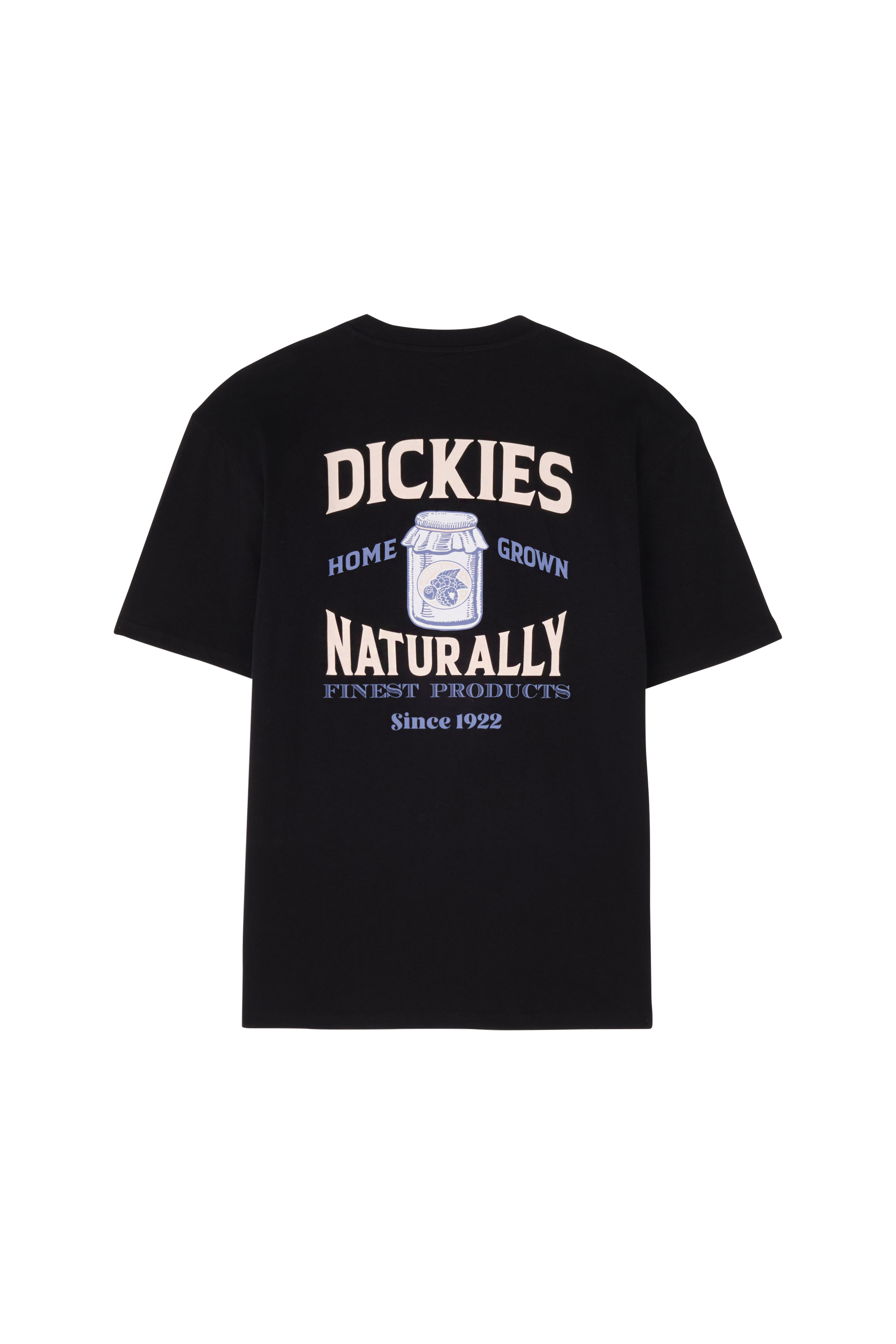 DICKIES T-shirt ELLISTON TEE SS Noir