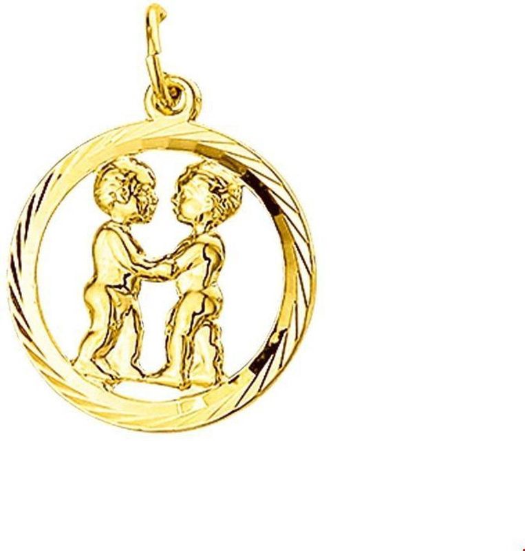 Hanger - Tweeling - Gediamanteerd - 14K Geelgoud